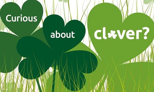 Curious about clover event banner 4